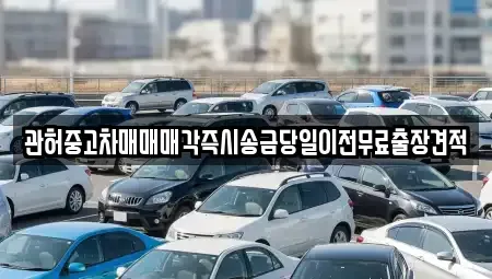 충청남도 천안시 동남구 청당동 중고차 전문 관허중고차매매매각즉시송금당일이전무료출장견적