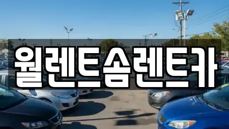 충청남도 천안시 서북구 입장면 렌트카 전문 월렌트솜렌트카