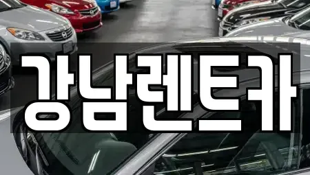 충청북도 옥천군 렌트카 전문 강남렌트카