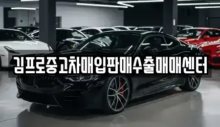 충청북도 옥천군 중고차매입 전문 김프로중고차매입판매수출매매센터