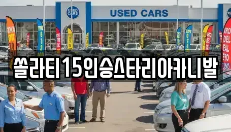 충청북도 제천시 교동 렌트카 전문 쏠라티15인승스타리아카니발