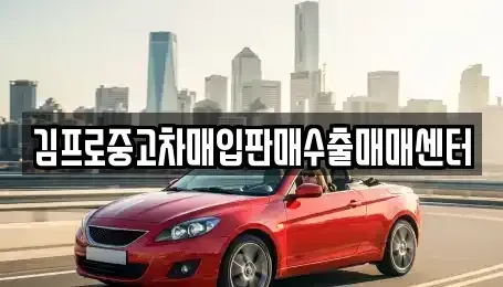 충청북도 제천시 교동 중고차매입 전문 김프로중고차매입판매수출매매센터