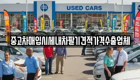 충청북도 제천시 교동 중고차매입 전문 중고차매입시세내차팔기견적가격수출업체
