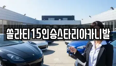 충청북도 제천시 송학면 렌트카 전문 쏠라티15인승스타리아카니발