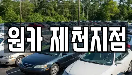 충청북도 제천시 송학면 렌트카 전문 원카 제천지점