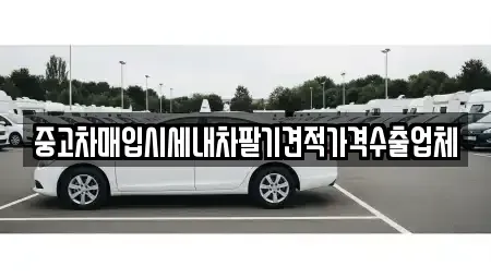 충청북도 제천시 송학면 중고차매입 전문 중고차매입시세내차팔기견적가격수출업체