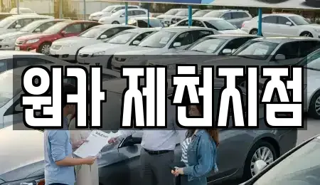 충청북도 제천시 천남동 렌트카 전문 원카 제천지점
