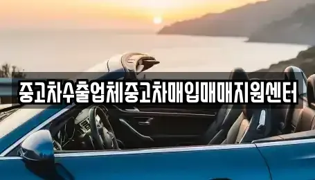 충청북도 제천시 천남동 중고차매입 전문 중고차수출업체중고차매입매매지원센터