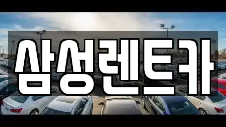 충청북도 청주시 상당구 금천동 렌트카 전문 삼성렌트카