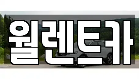 충청북도 청주시 상당구 금천동 렌트카 전문 월렌트카