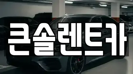 충청북도 청주시 상당구 금천동 렌트카 전문 큰솔렌트카