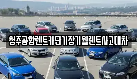 충청북도 청주시 청원구 내덕동 단기렌트카 전문 청주공항렌트카단기장기월렌트사고대차