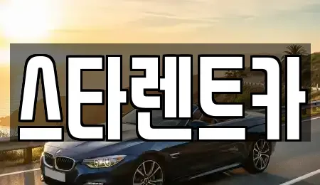 충청북도 청주시 청원구 내덕동 렌트카 전문 스타렌트카