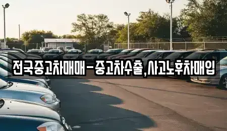 충청북도 청주시 청원구 내덕동 중고차매매 전문 전국중고차매매-중고차수출,사고노후차매입