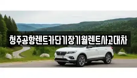 충청북도 청주시 청원구 정북동 렌트카 전문 청주공항렌트카단기장기월렌트사고대차