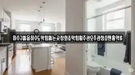 하수구뚫음하수도막힘뚫는곳정화조막힘횡주관오주관청소맨홀역류